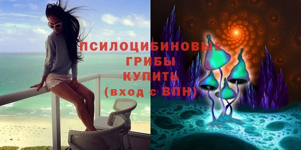 экстази Арсеньев