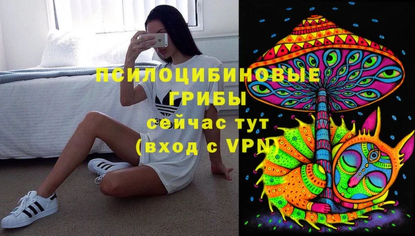 экстази Арсеньев