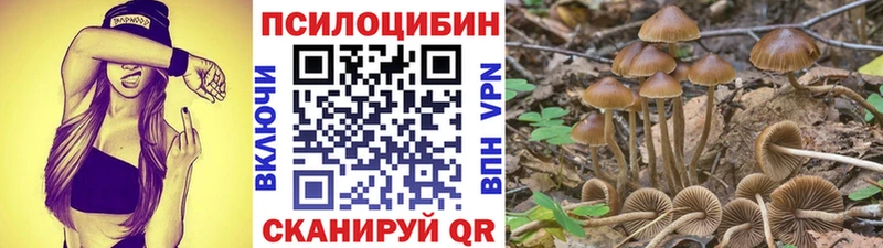 Галлюциногенные грибы ЛСД  Аркадак 